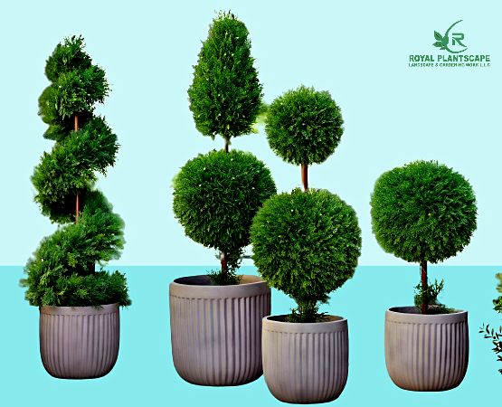 Best Large Artificial Plants Indoors