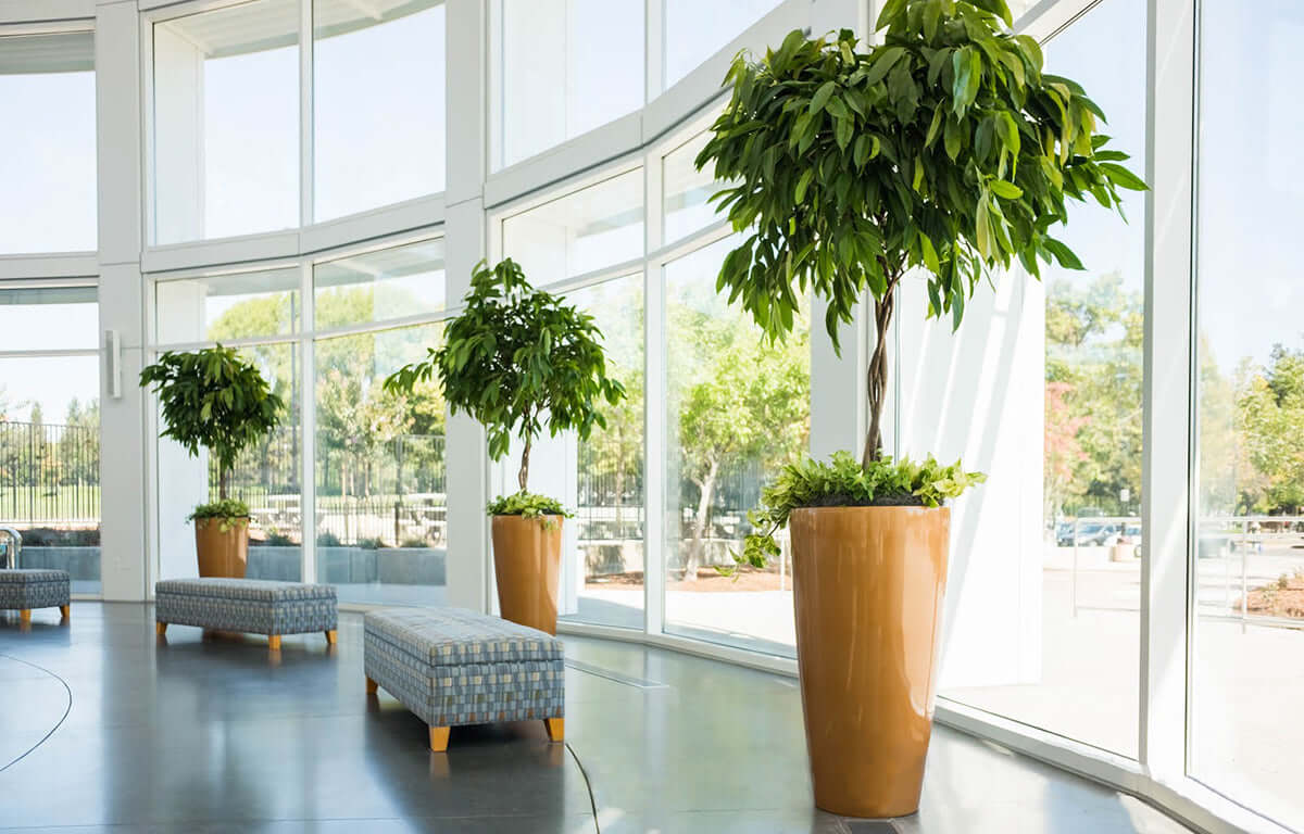 top gardening companies