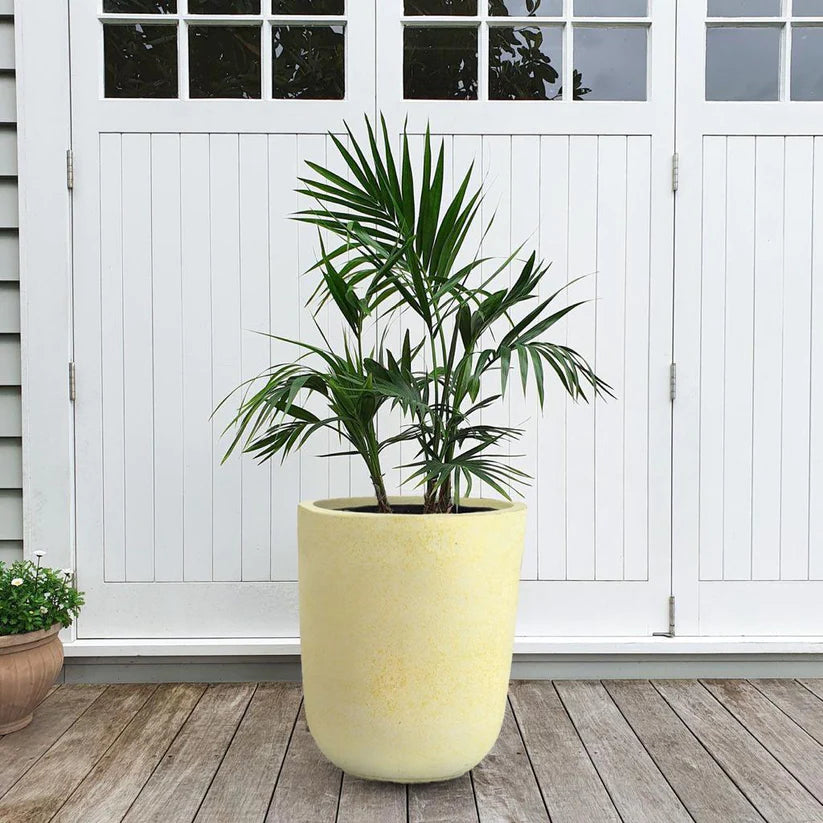 Round Fiber pots Small, Medium and Large