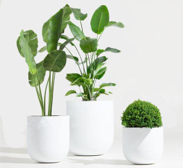 Round Fiber pots Small, Medium and Large