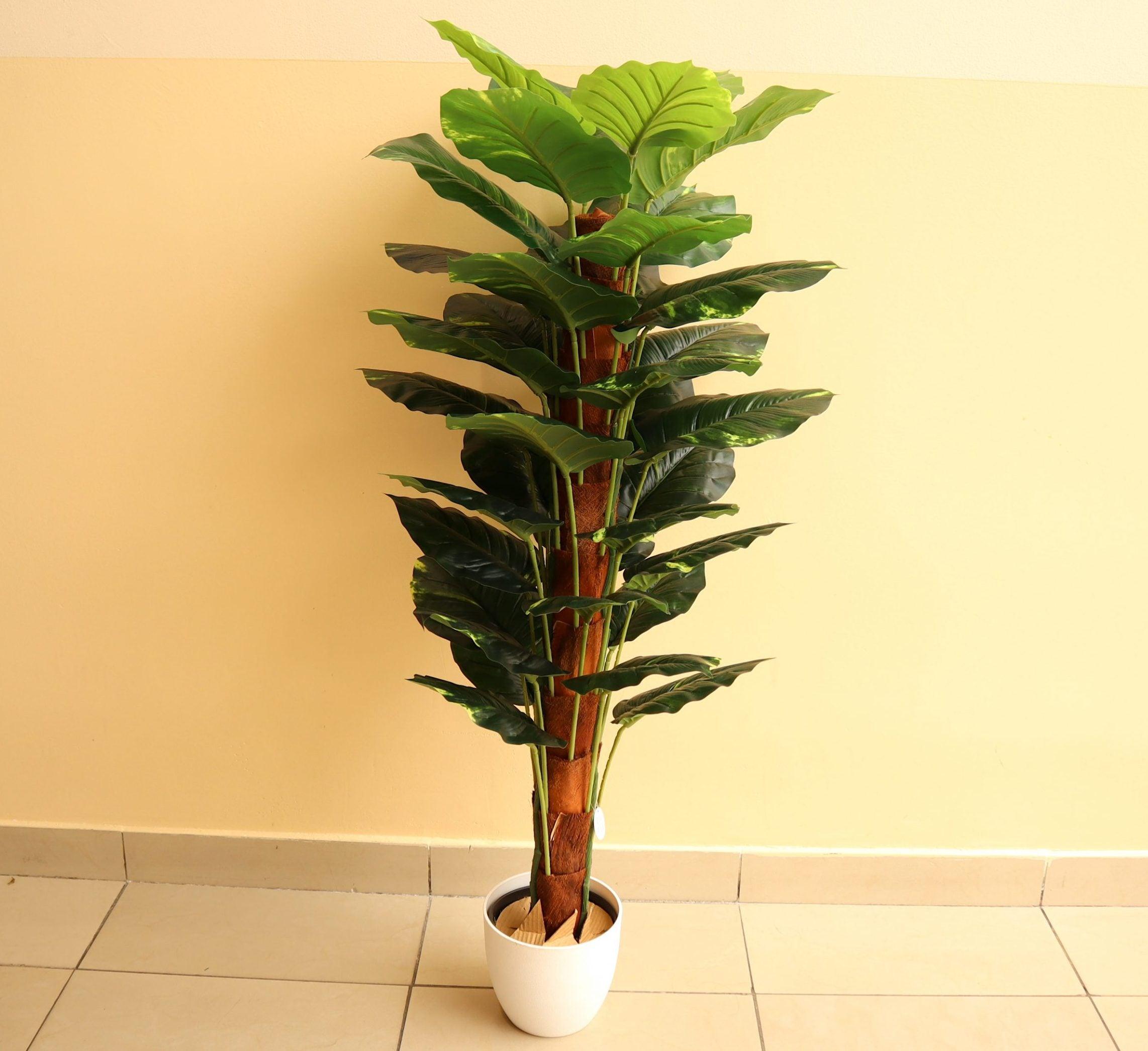 faux money plant Artificial Money Plant 130cm