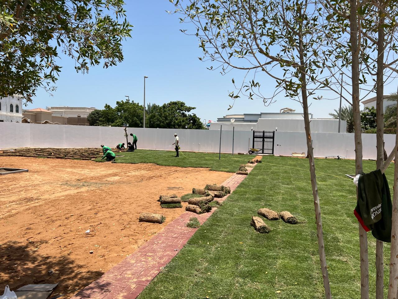 Grass Natural Carpet Bermuda Grass “American Bermuda” (Price Per Square Meters)