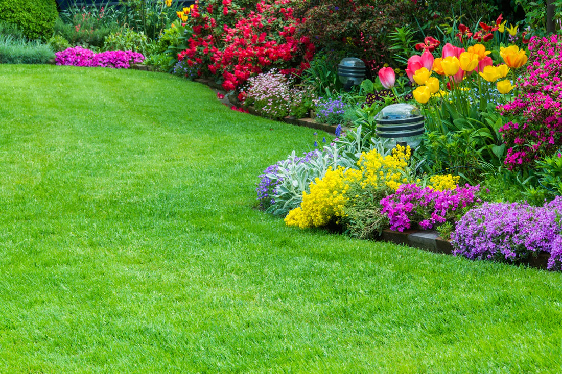 Garden Maintenance Services Dubai