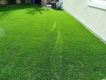 Grass Natural Carpet Bermuda Grass “American Bermuda” (Price Per Square Meters)