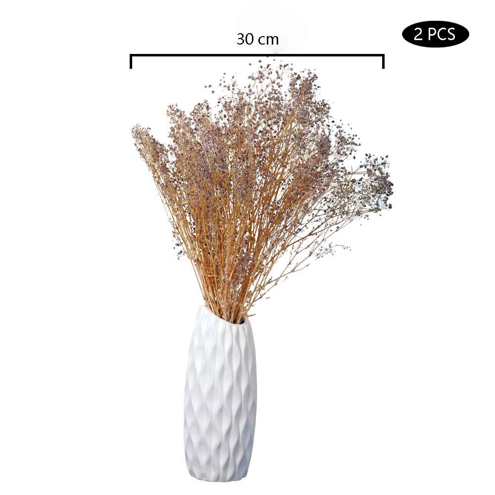 2bunches Dried Gypsophila Flowers