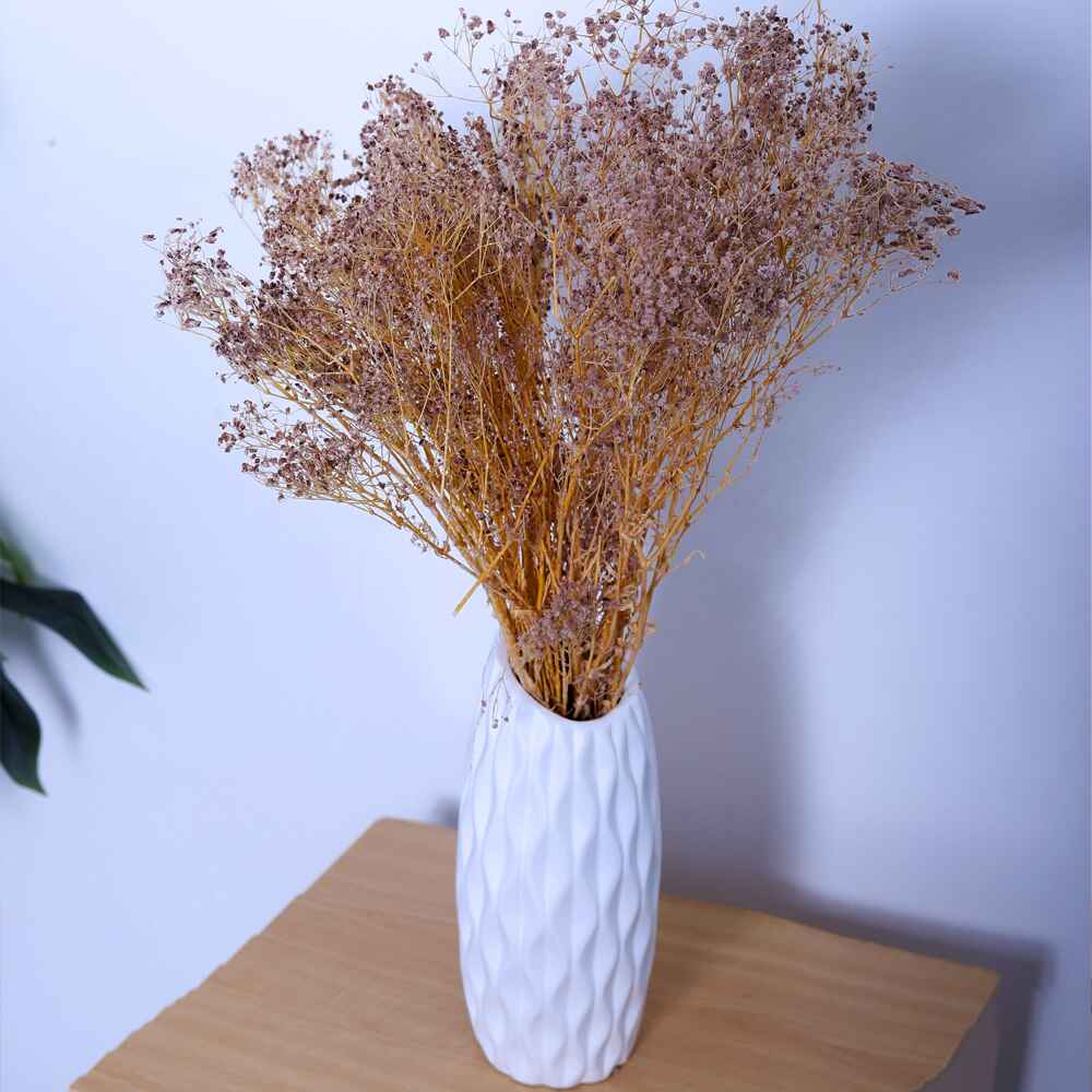 2bunches Dried Gypsophila Flowers