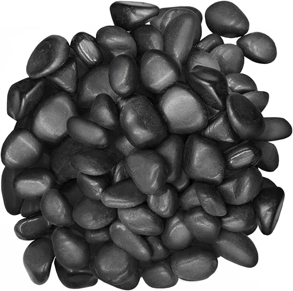 Aspiradas | Aspidistras Indoor Plant | Cast Iron Plant