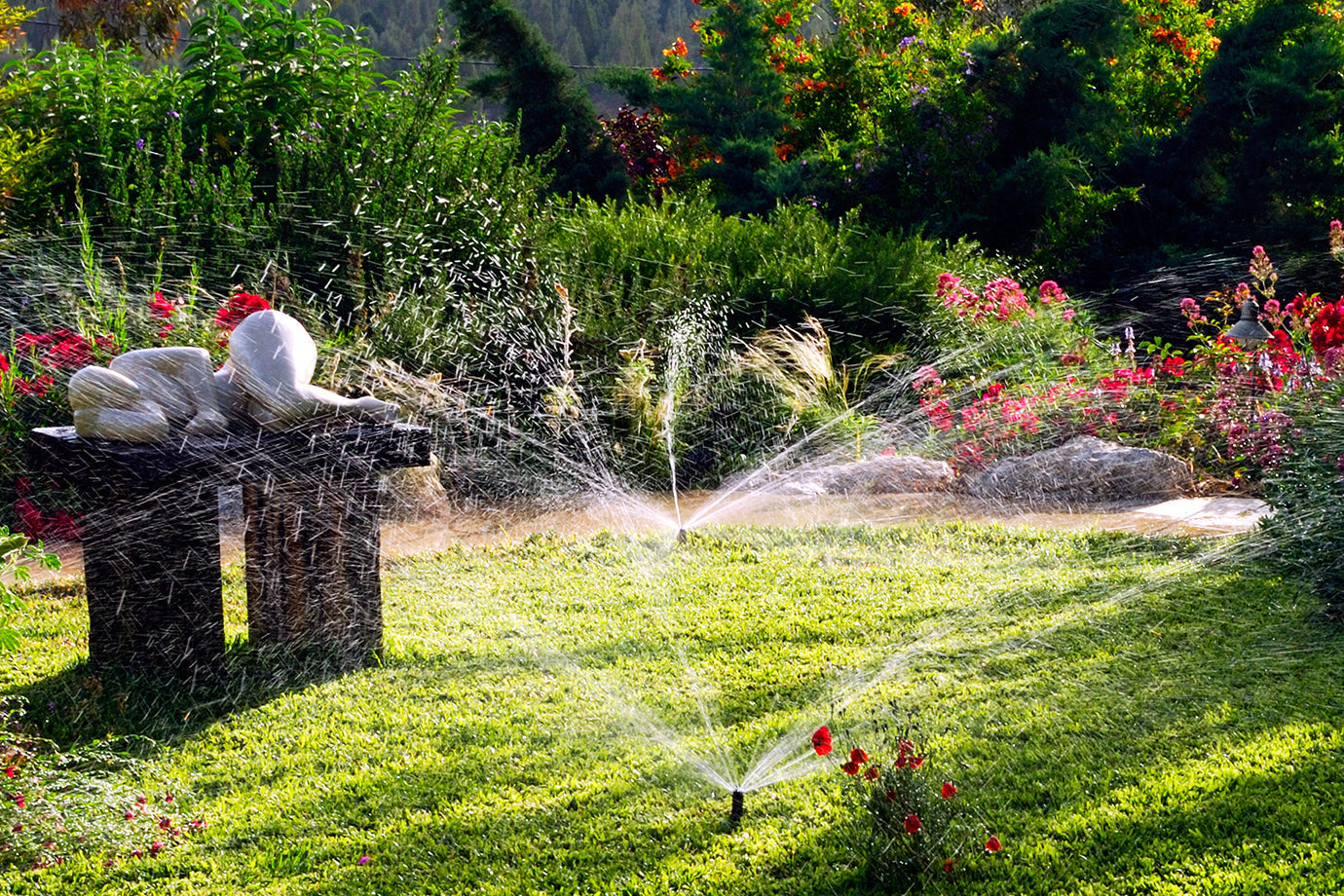 Why Choose Automatic Irrigation Over Manual Watering?