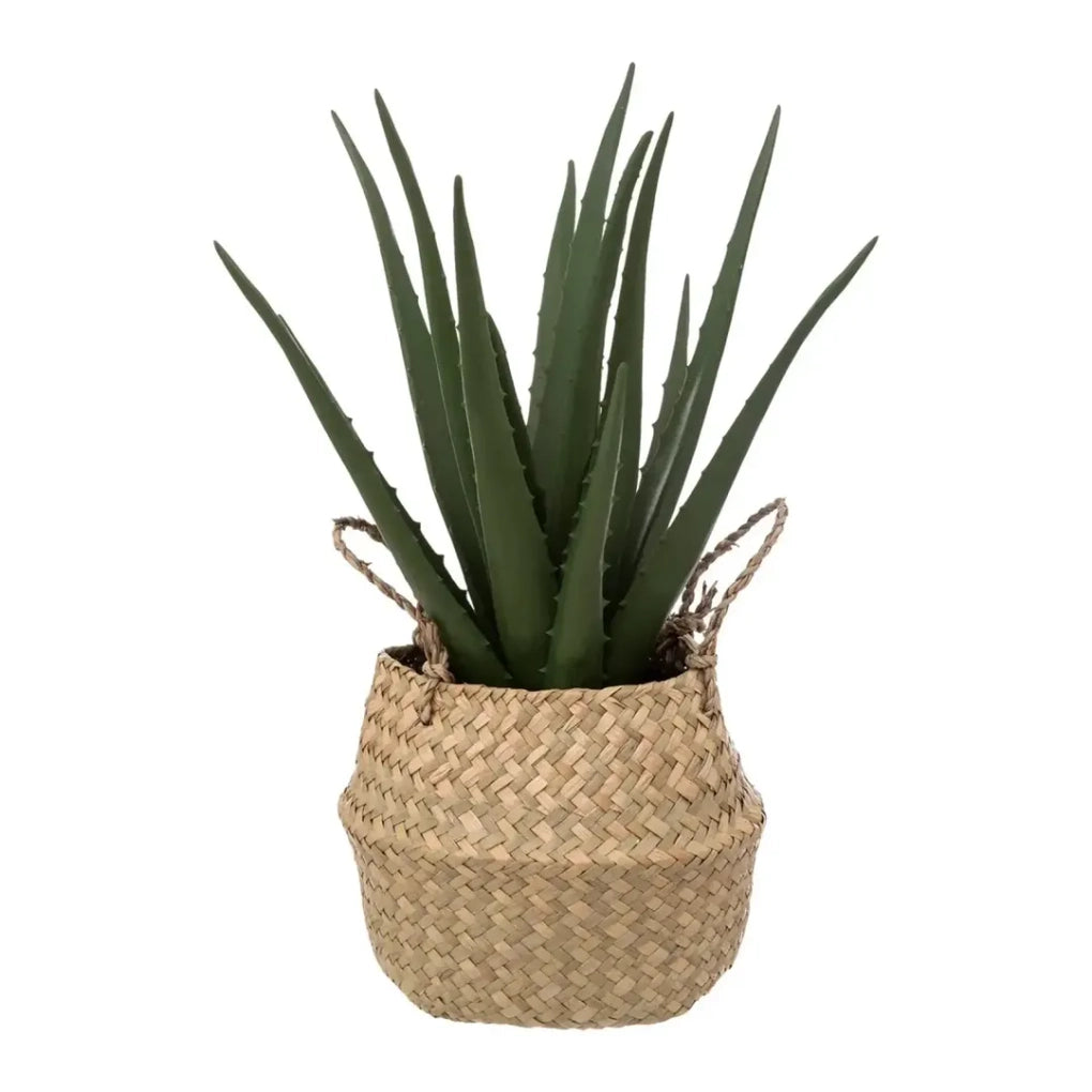 Artificial Aloe Vera Plant W/Weaved Planter (24 x 37 cm)