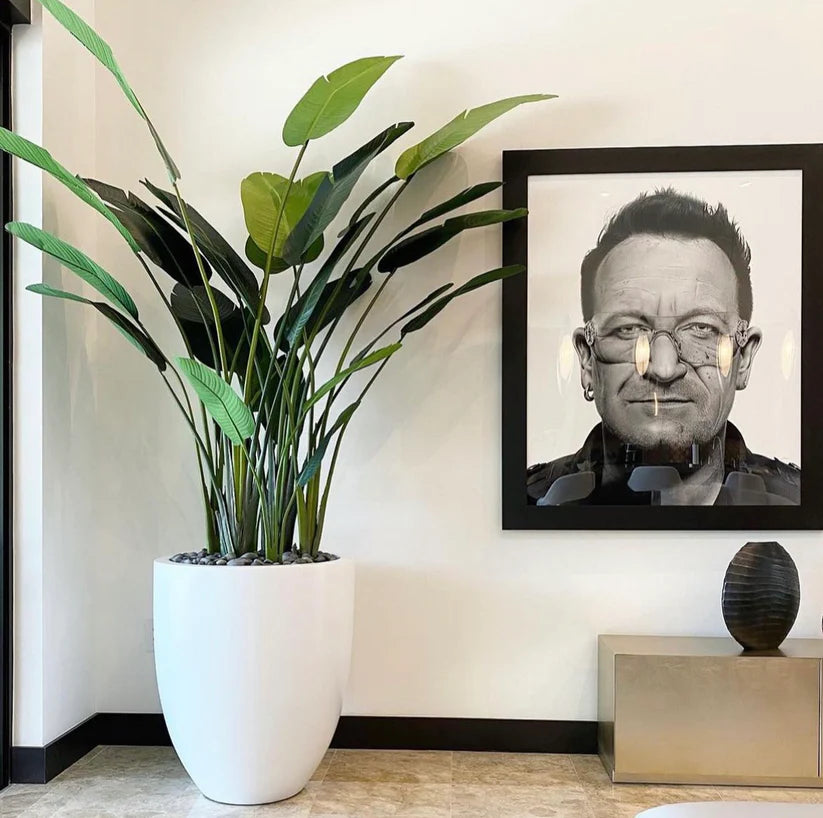 is travellers palm an indoor plant Artificial Travellers Palm