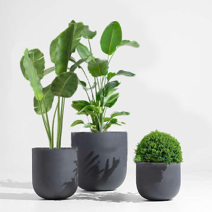 are fibre pots good for plants Round Fiber pots Small, Medium and Large