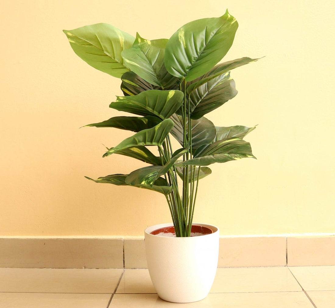Artificial Calathea Green 50cm