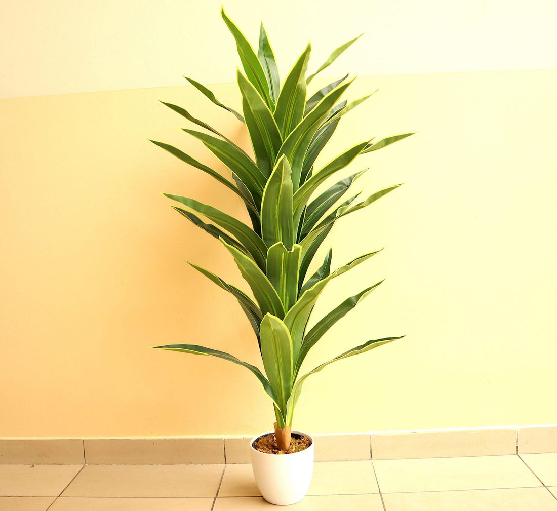 Artificial Dracaena fragrans “Golden Coast” 130cm