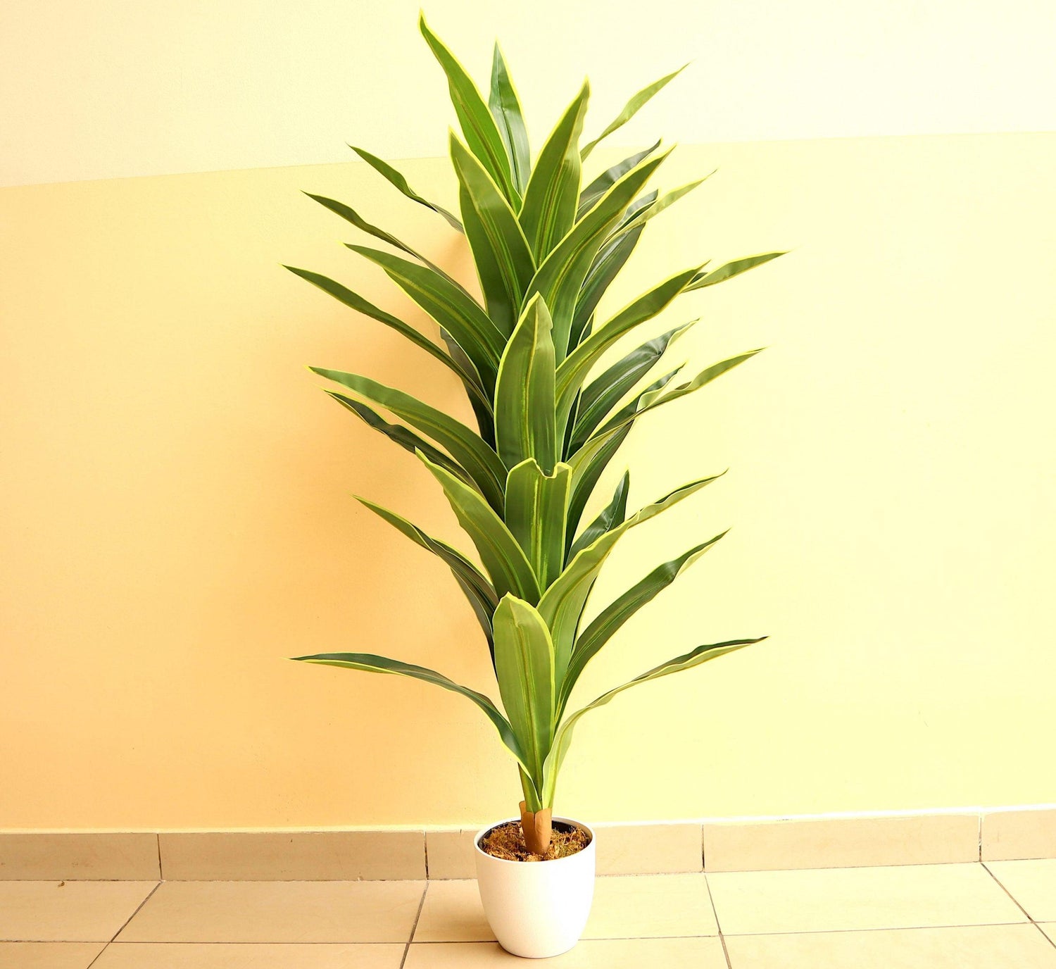 dracaena fragrans golden Artificial Dracaena fragrans “Golden Coast” 130cm