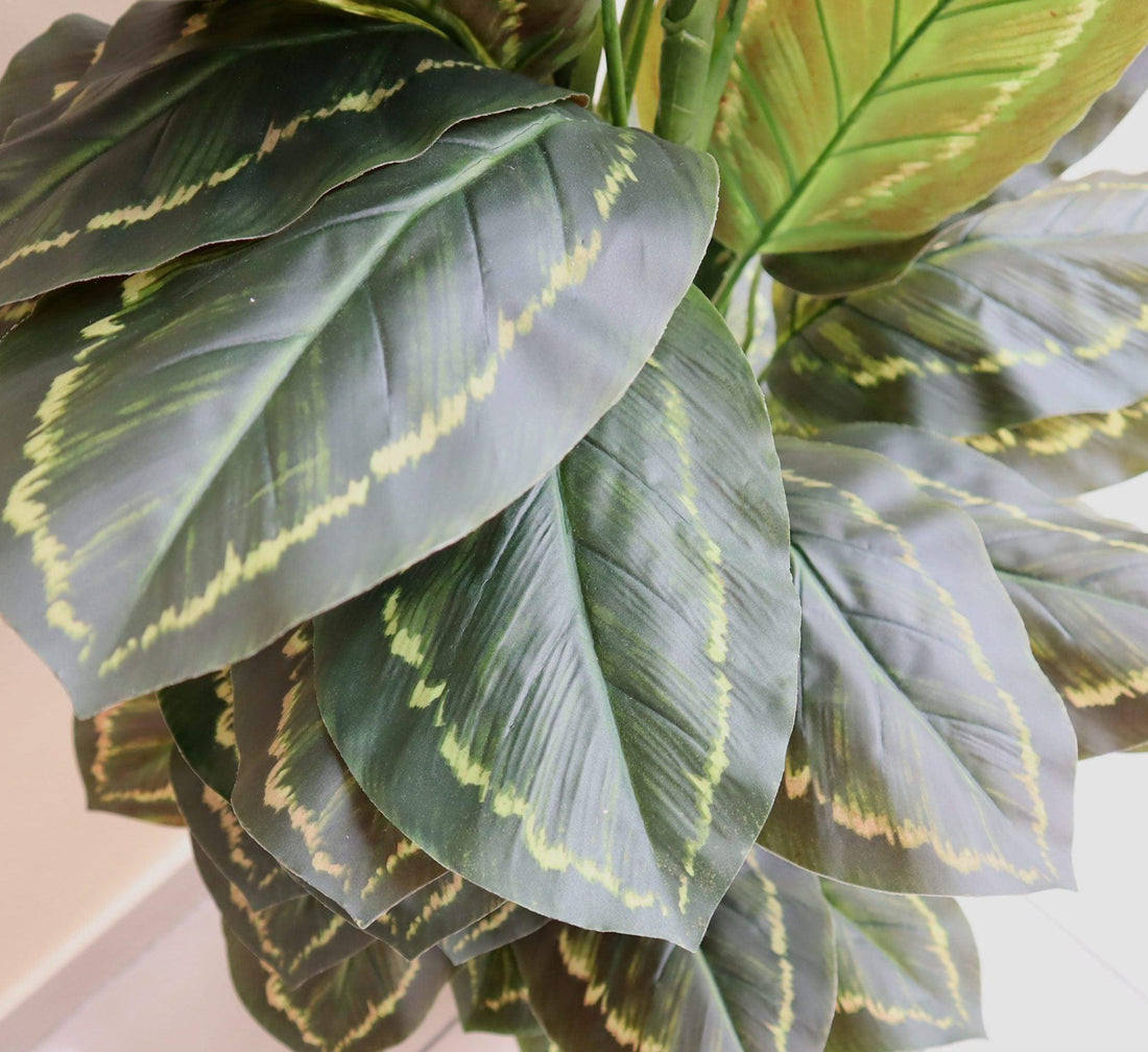 Artificial Calathea Peacock Plant “Zebra Plant” 130cm