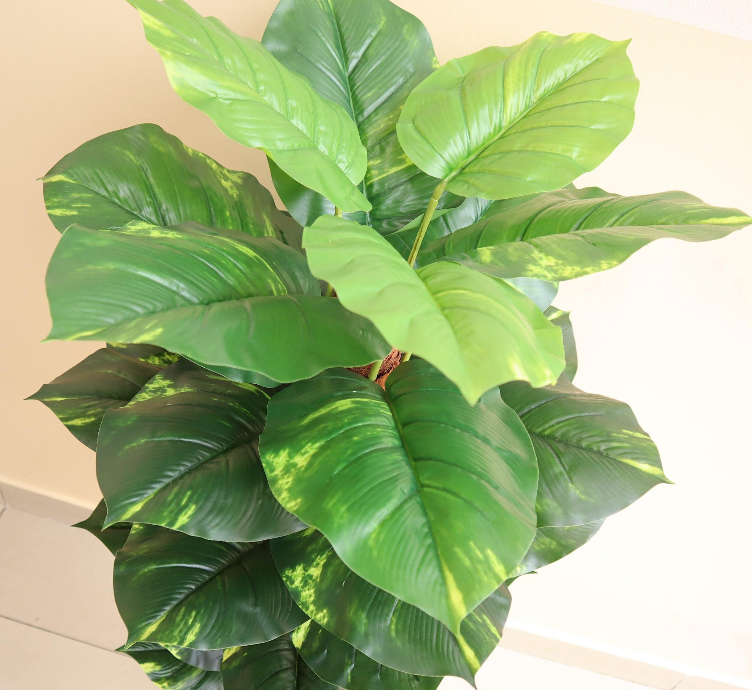 artificial money plant leaves Artificial Money Plant 130cm